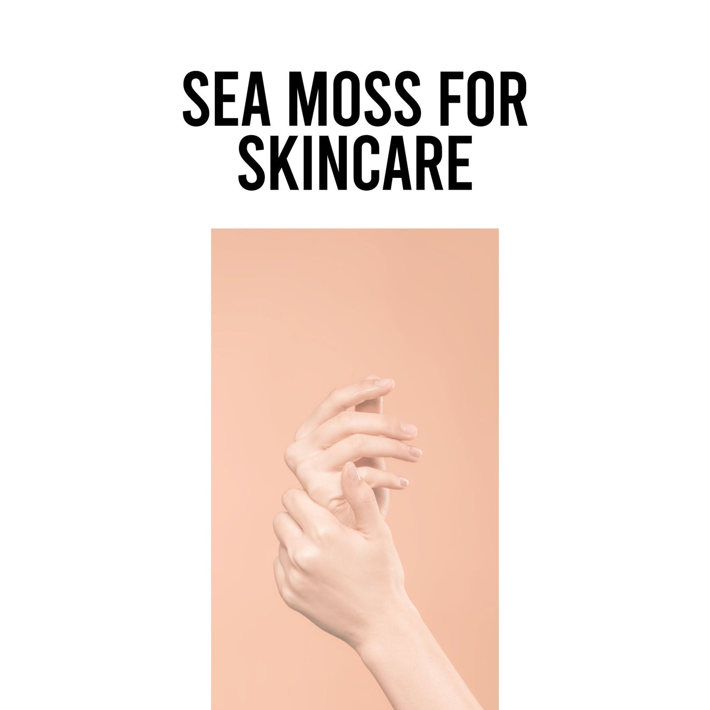 Sea Moss can be used as a skincare product. Add a small amount to skin and leave for 10-15min and rinse with warm water