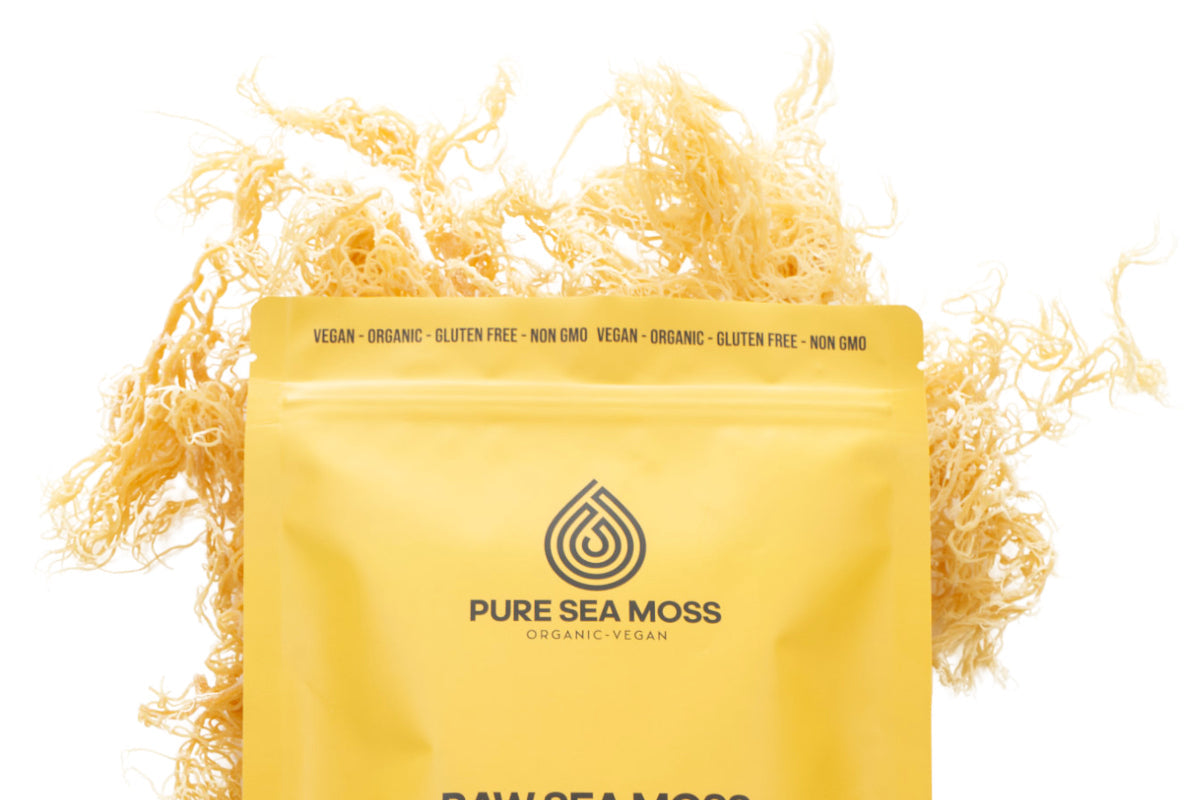 Raw Sea Moss vs Sea Moss Gel: Which Is Better & How to Make Your Own
