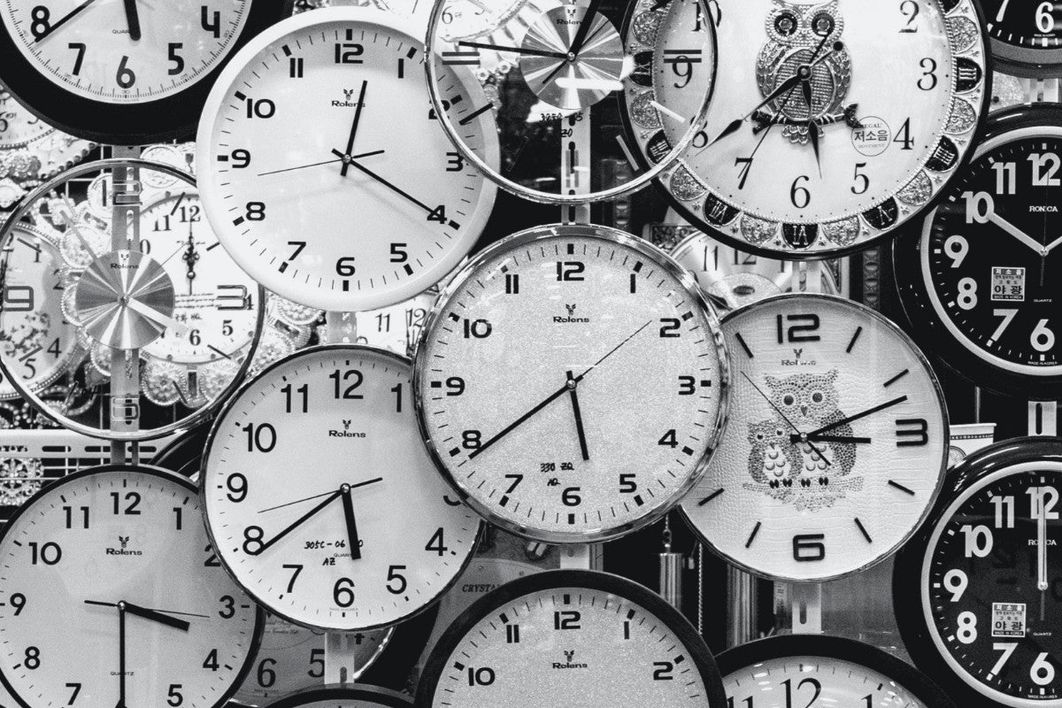 The History of Sea Moss