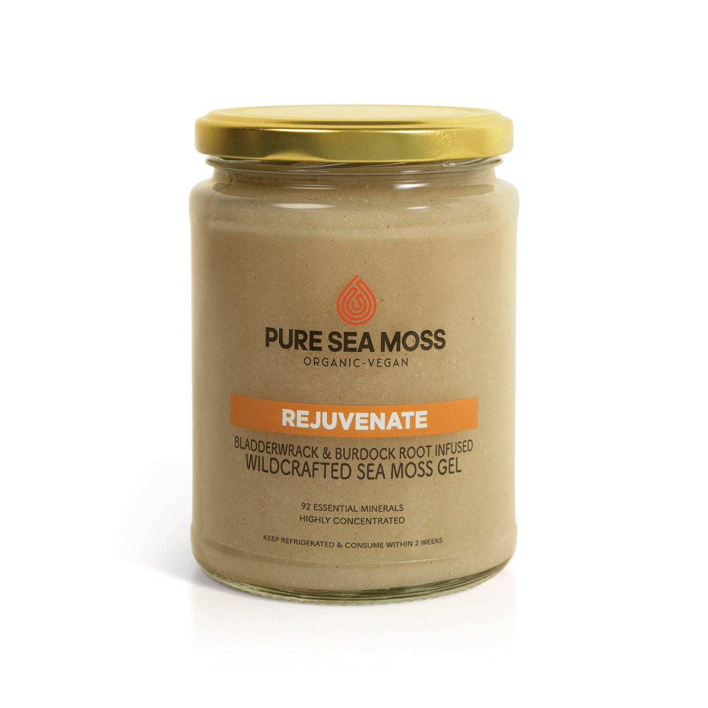 Rejuvenate - Bladderwrack and Burdock Root infused Sea Moss Gel